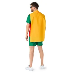 Batman® Robin Festivalsæt