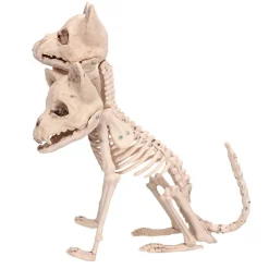 Cerberus Skelet