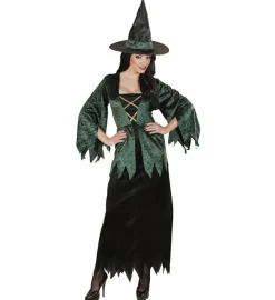 Dyster Heks Kostume