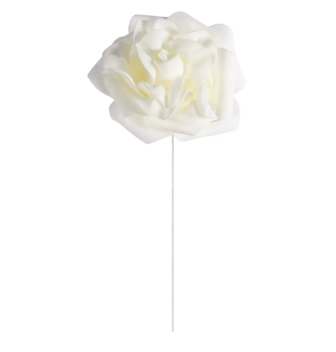 Elfenbenshvide Roser På Stilk