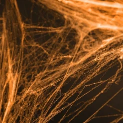Falsk Spindelvæv Orange