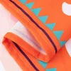 Fiesta Ørken Sombrero Banner