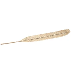 Flettet Daddelblad