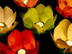 Flydende Blomsterlanterner