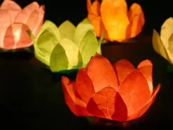 Flydende Blomsterlanterner