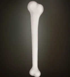 Gigant Knogle
