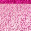 Glitter Bordløber Fuchsia