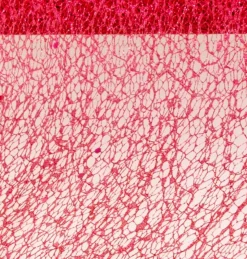 Glitter Bordløber Rød