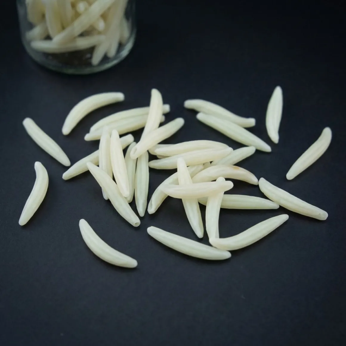 Halloween Maddiker