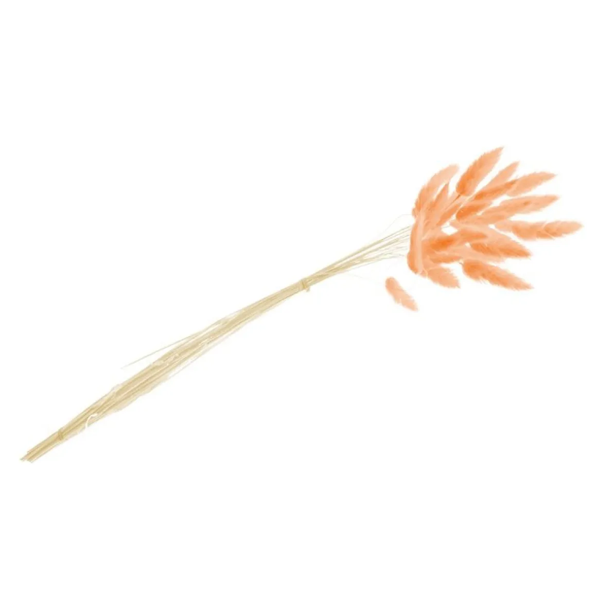 Harehaler Orange