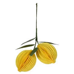 Hængende Citron Honeycombs