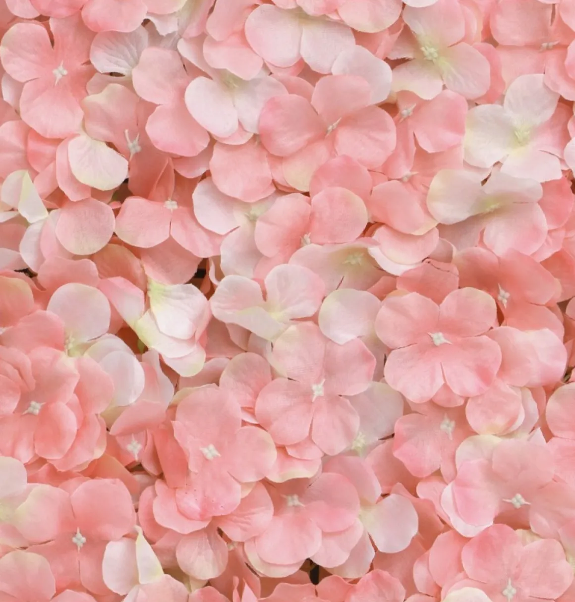 Hortensia Blomstervæg Lyserød