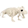Hund Skelet