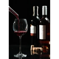 2-i-1 Vinlufter