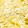 Kors Konfetti Guld