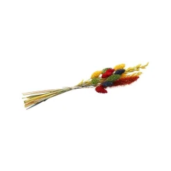 Kunstige Tørblomster Farverig