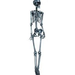 Lifesize Skelet Sølv