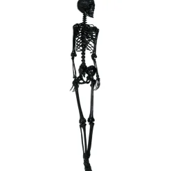 Lifesize Skelet Sort