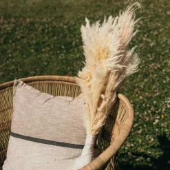 Linnedlook Blonde Dekorationsklæbebånd Elfenben