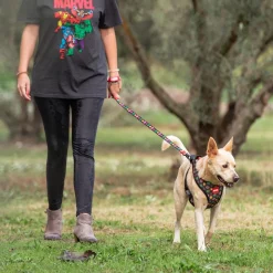 Marvel® Hundesnor