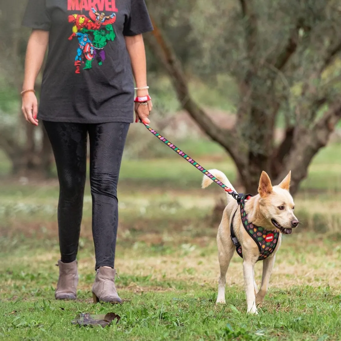 Marvel® Hundesnor