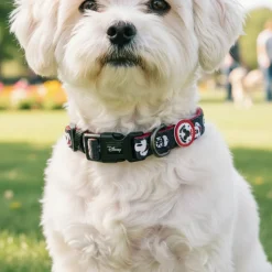 Mickey Mouse® Hundehalsbånd