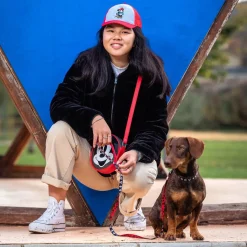 Mickey Mouse® Hundesnor