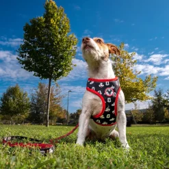 Mickey Mouse® Hundesele