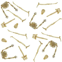 Miniature Skeletdele
