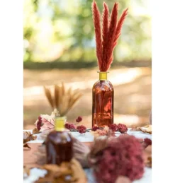 Pampasgræs Bundt Bordeaux