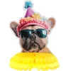 Party Dogs Honeycomb