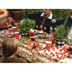 Picnic Snackbægre