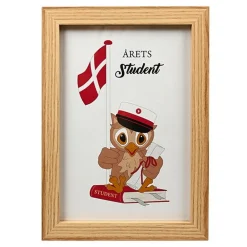 Årets Student Plakat I Ramme