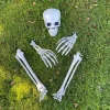 Skelet Dekorationssæt
