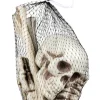 Skelet Knogler