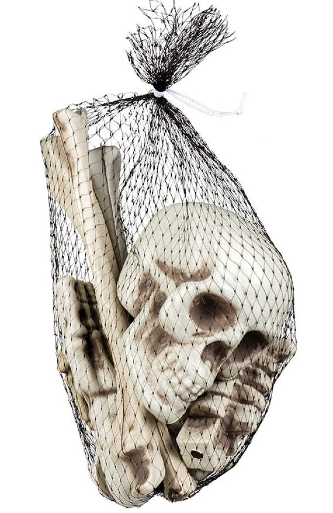 Skelet Knogler