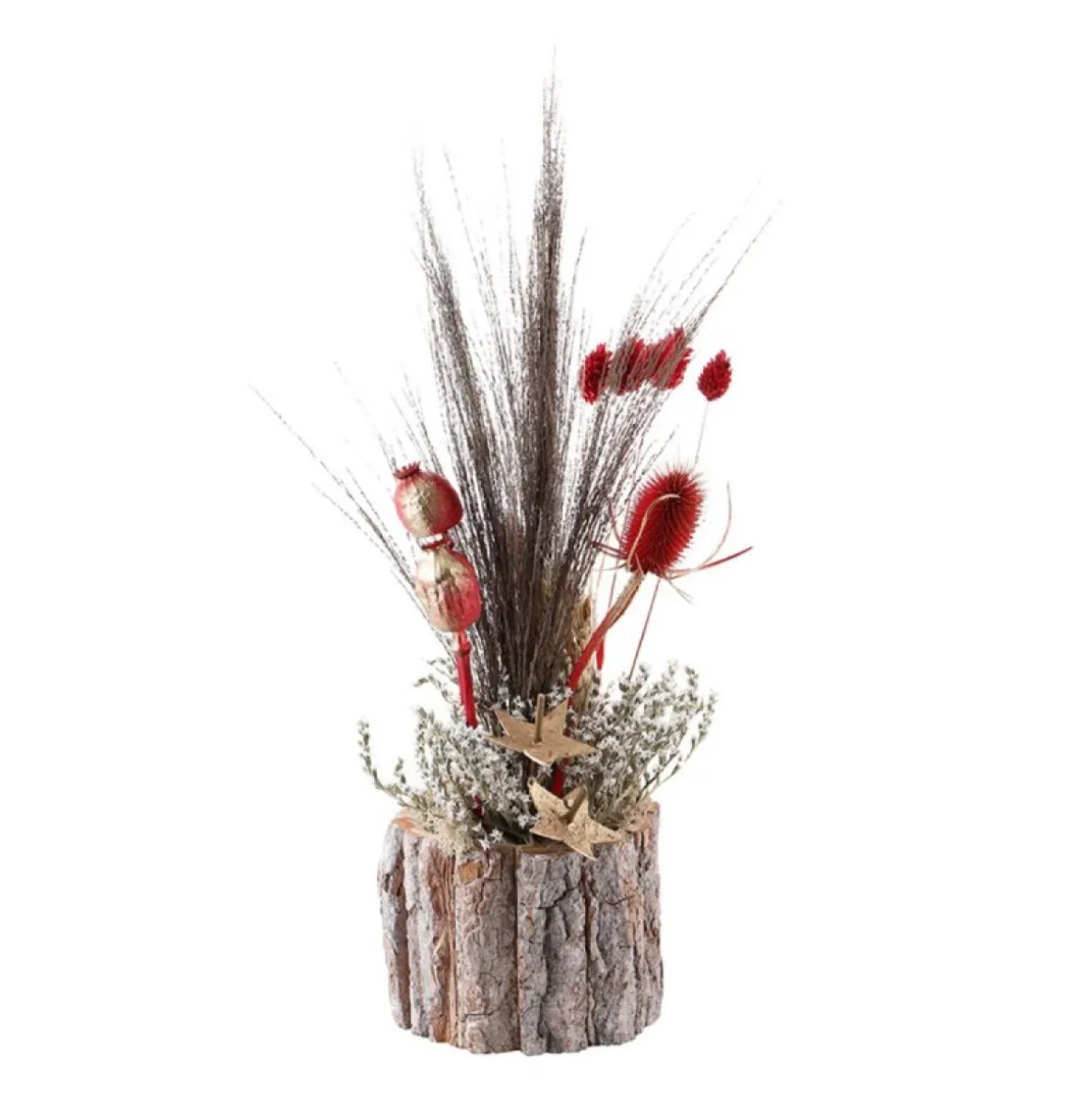 Tørrede Naturblomster I Træfod